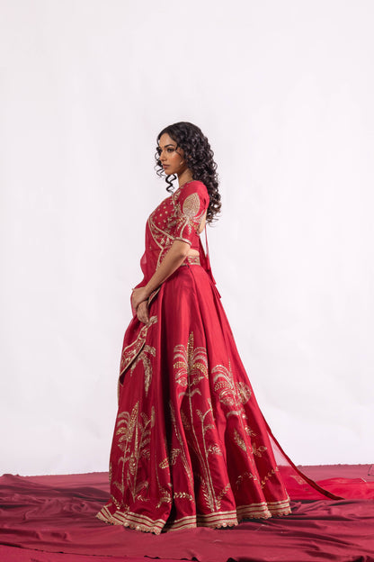 The Paheli Roshni Lehenga Set Sitarah