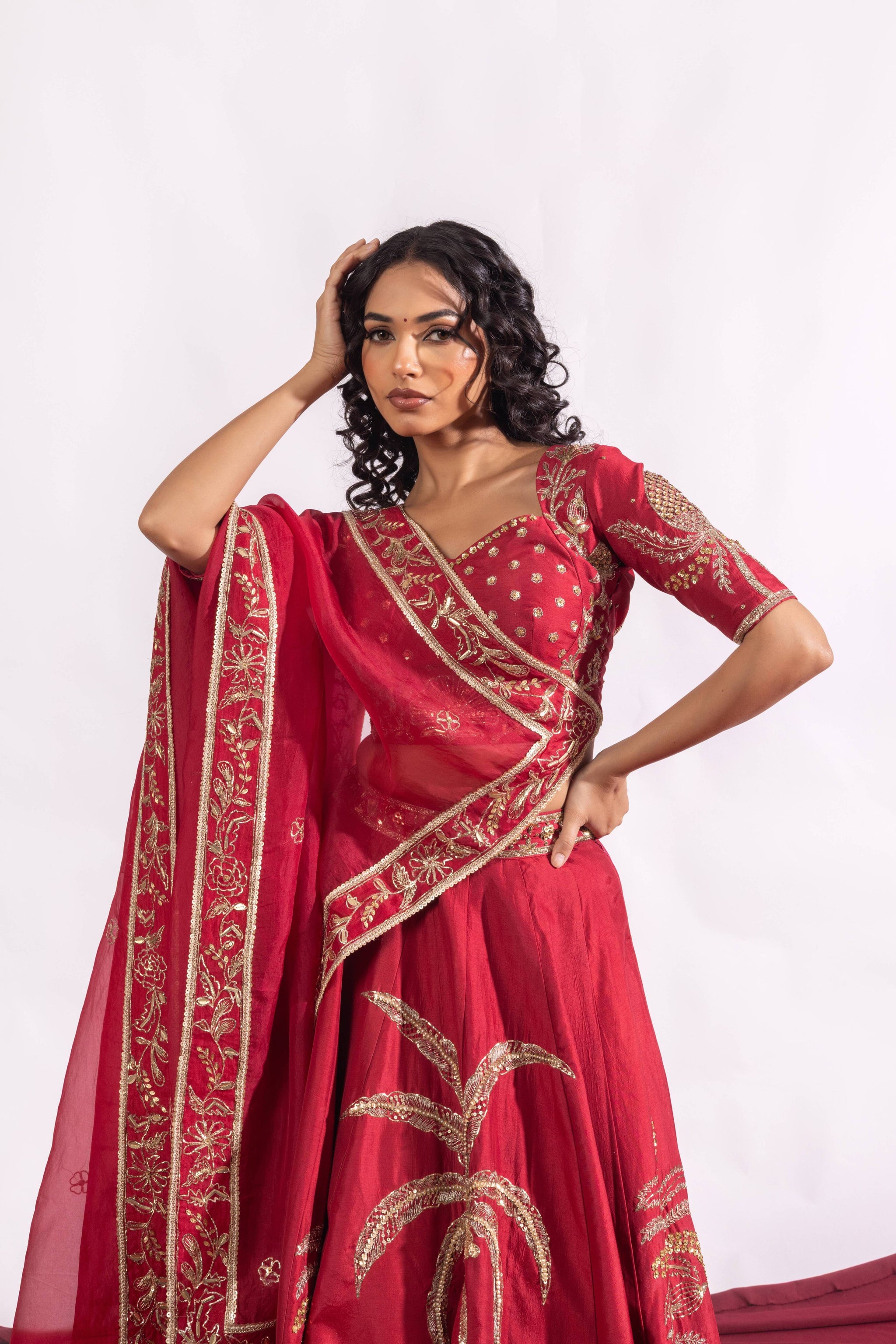 The Paheli Roshni Lehenga Set Sitarah