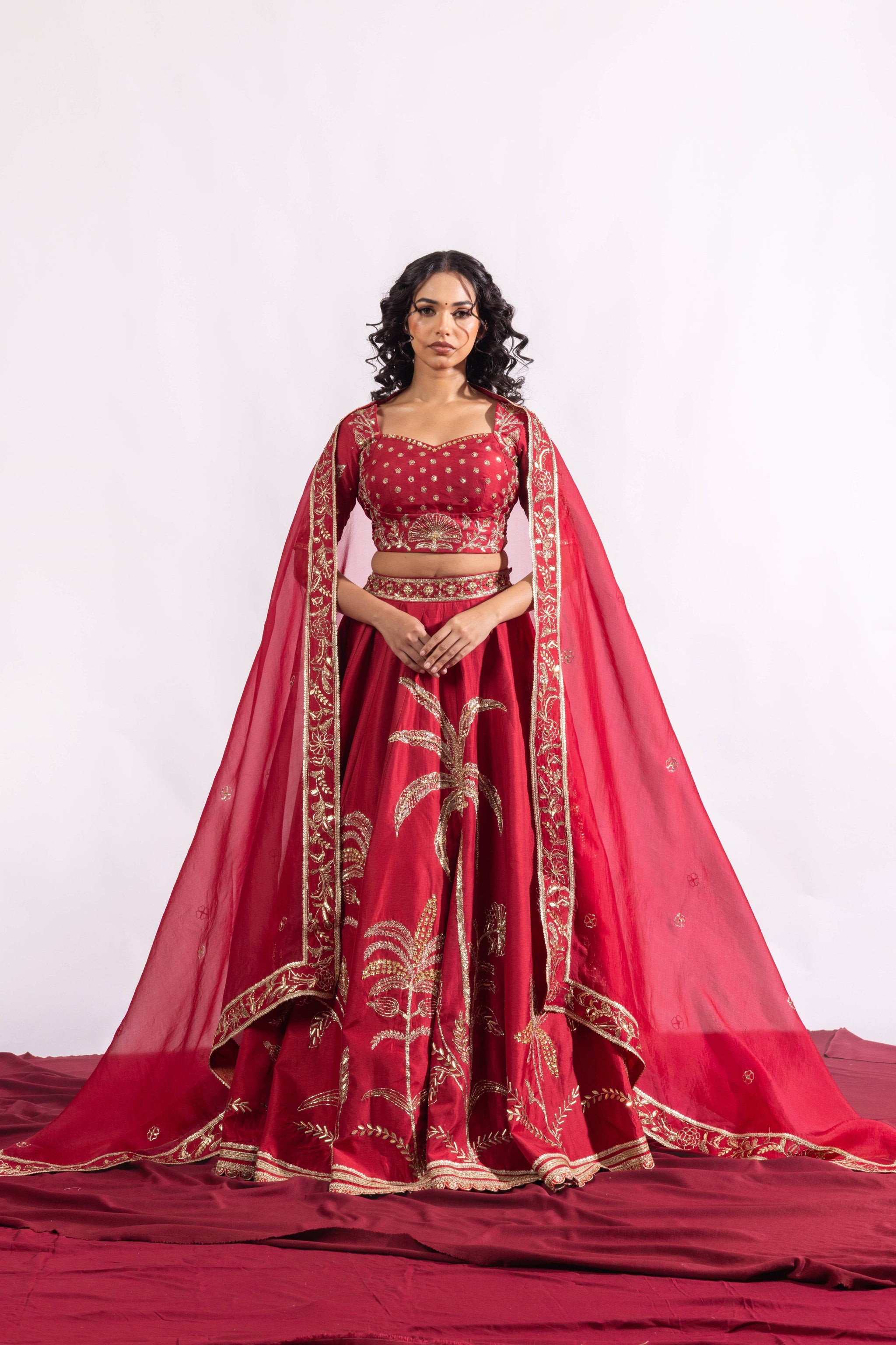 The Paheli Roshni Lehenga Set Sitarah