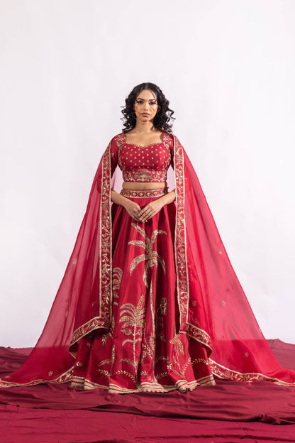 The Paheli Roshni Lehenga Set Sitarah
