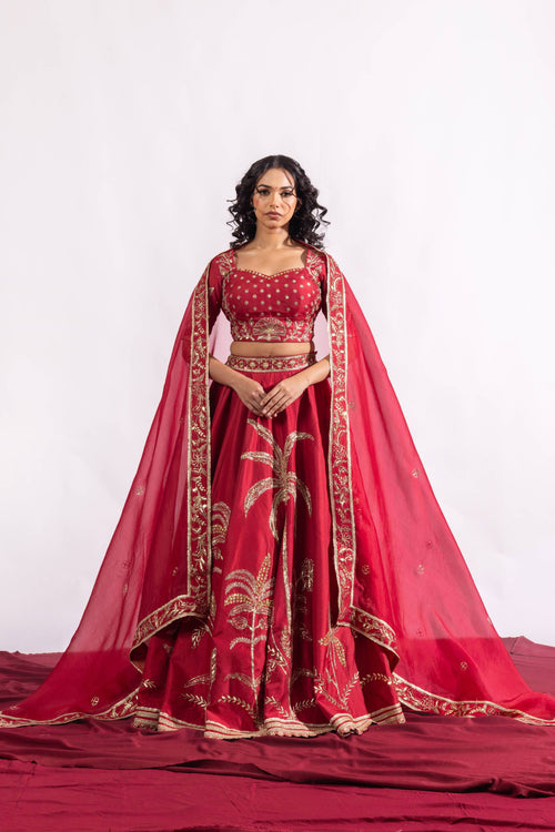 The Paheli Roshni Lehenga Set Sitarah