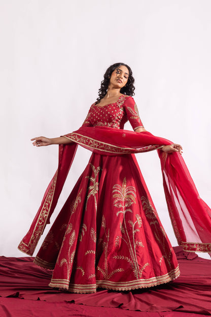 The Paheli Roshni Lehenga Set Sitarah