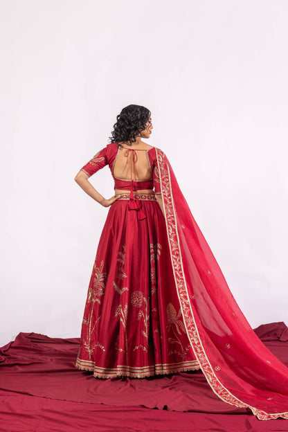 The Paheli Roshni Lehenga Set Sitarah