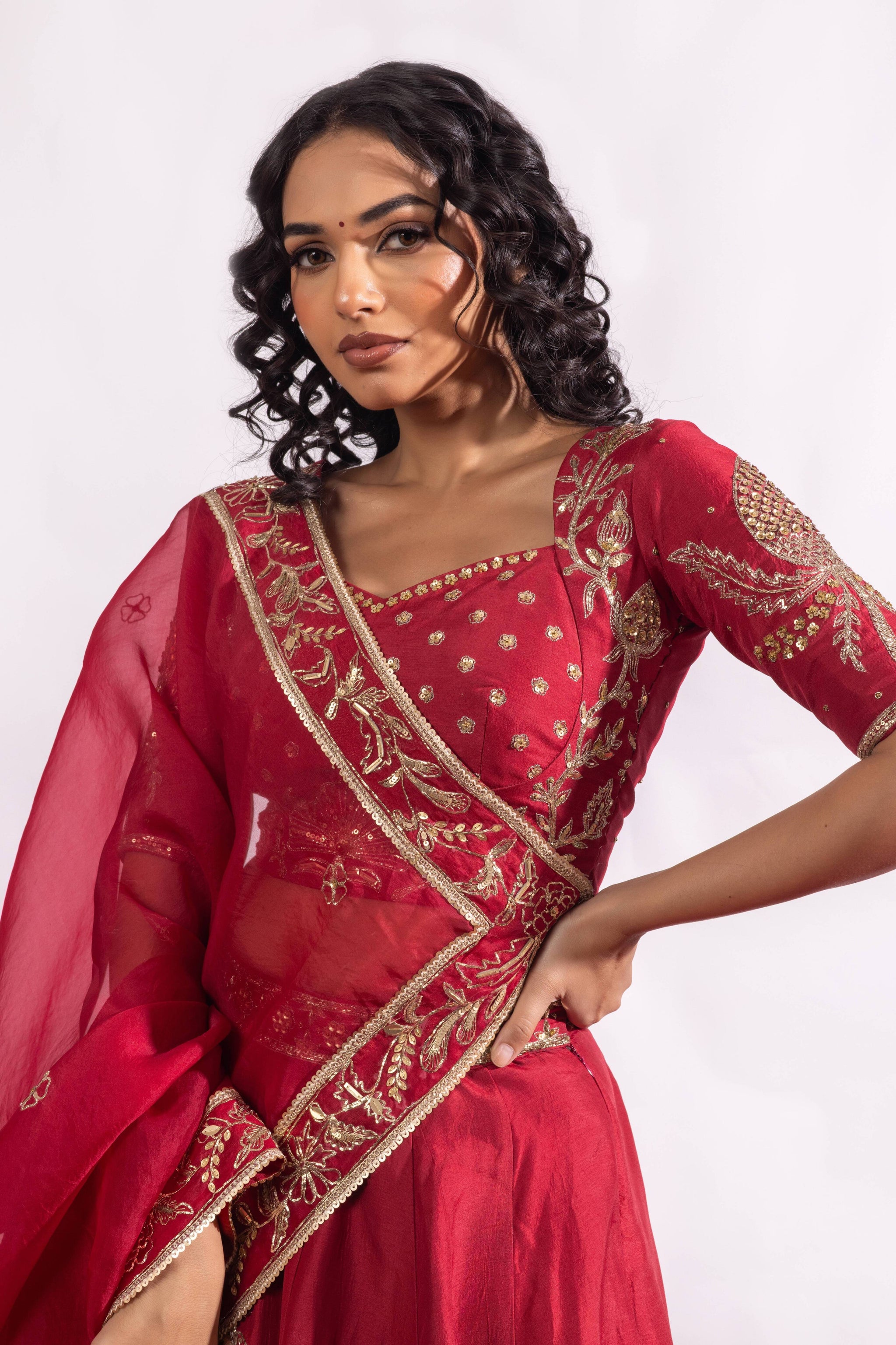 The Paheli Roshni Lehenga Set Sitarah