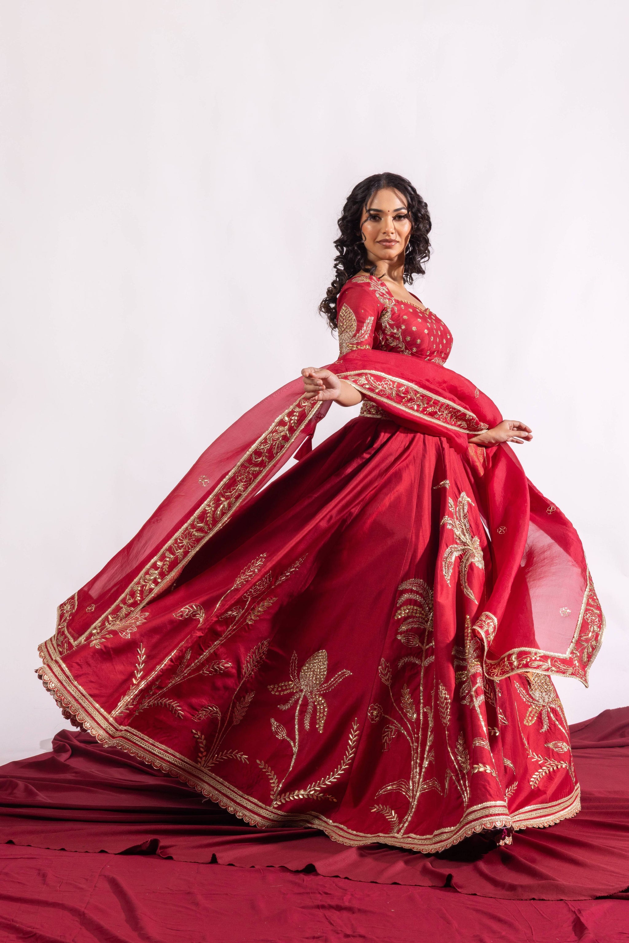 The Paheli Roshni Lehenga Set Sitarah