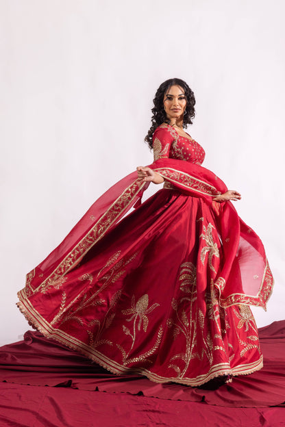 The Paheli Roshni Lehenga Set Sitarah