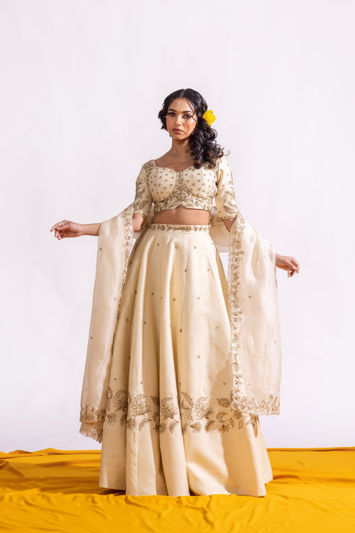 The Sitaron ke Beech Lehenga Set Sitarah