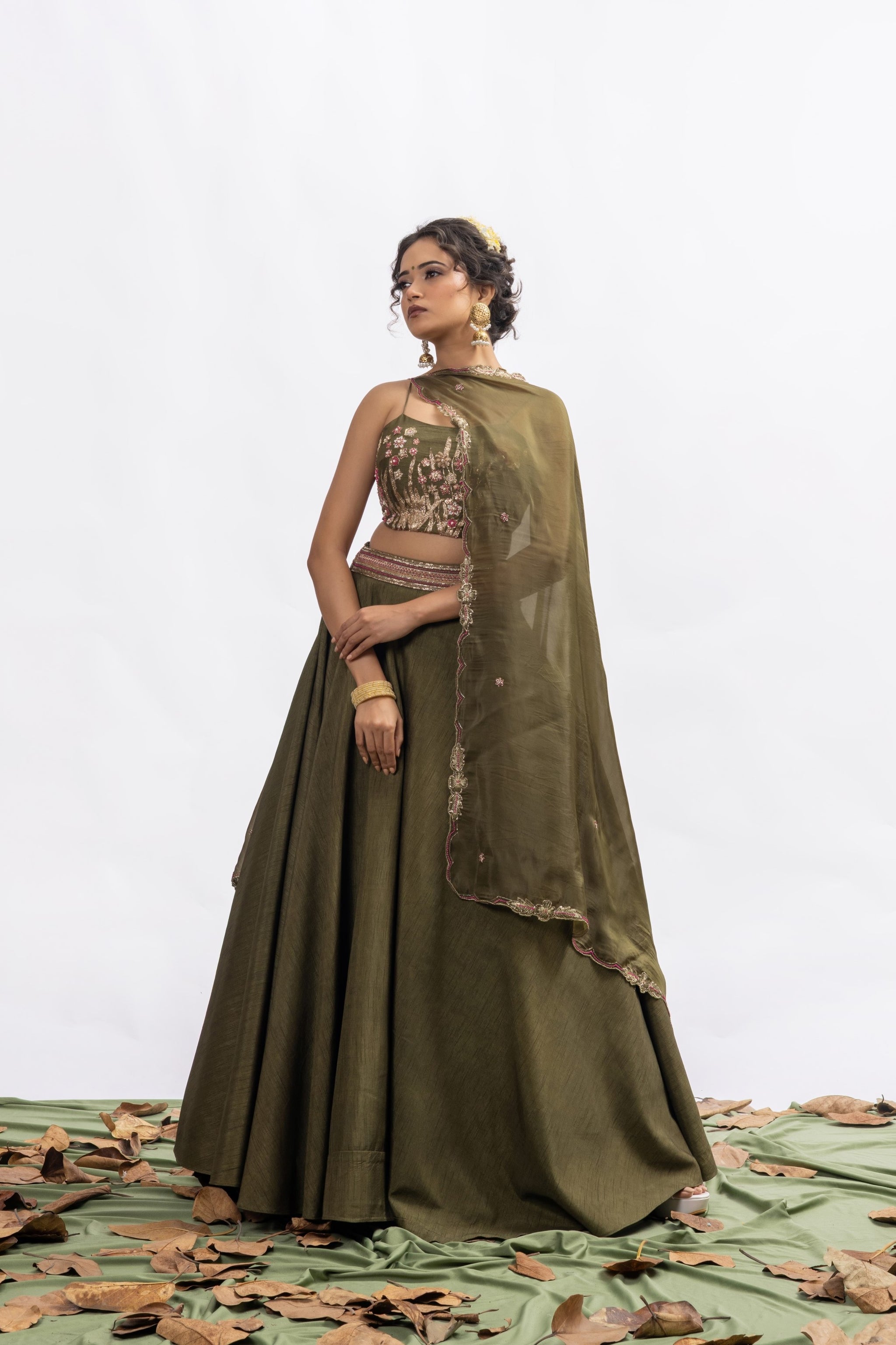 The Roshni ka Safar Lehenga Set Sitarah